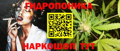 соль ск Кингисепп