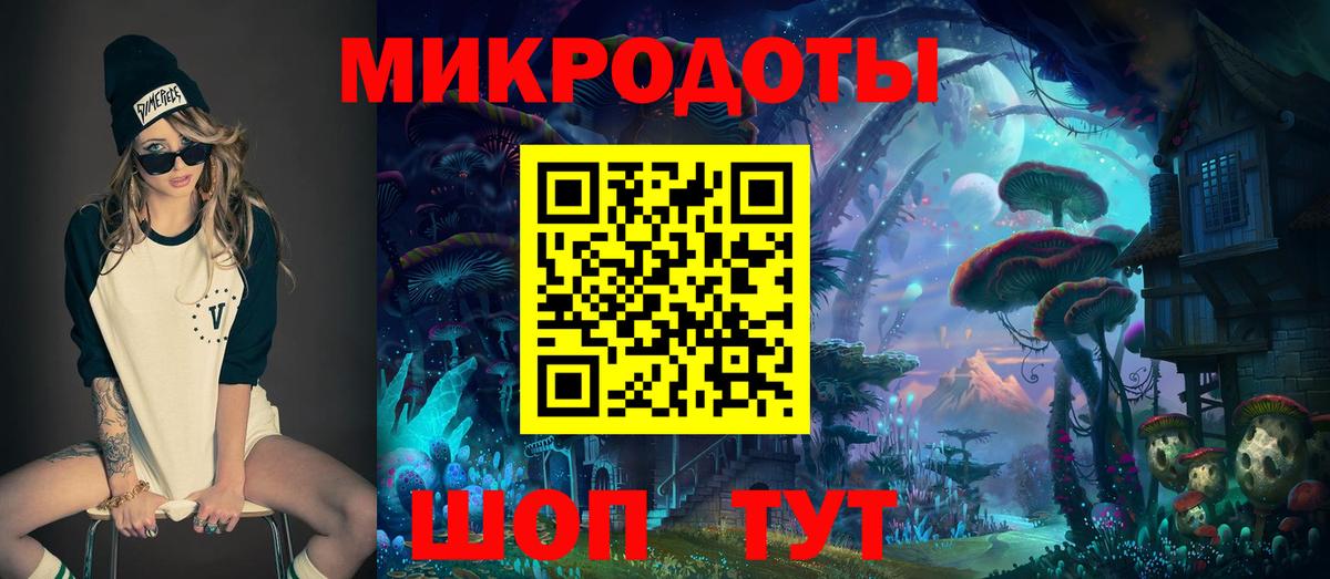 Псилоцибиновые грибы Psilocybe Красноярск