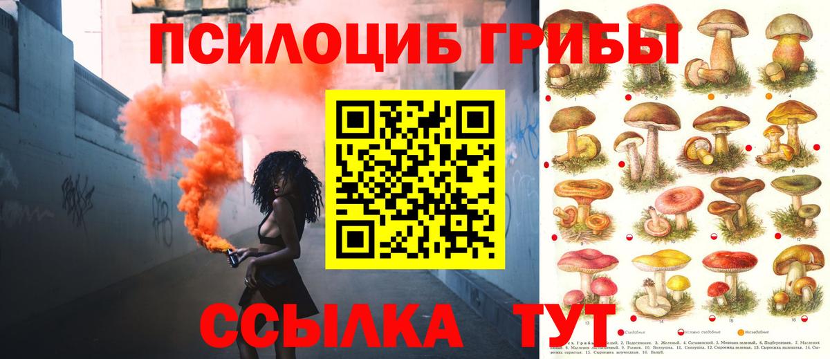 Псилоцибиновые грибы MAGIC MUSHROOMS  Вход с VPN  Красноярск 